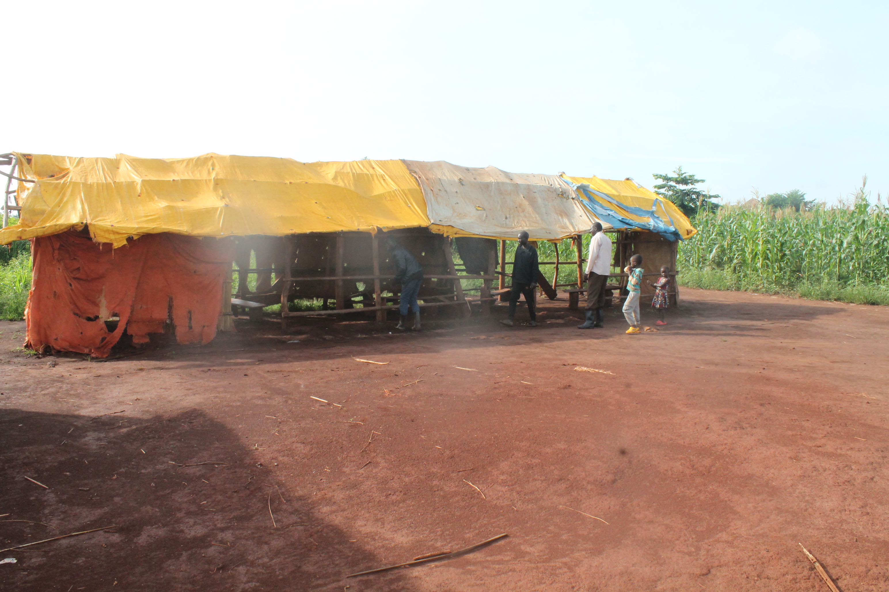 Classroom building project